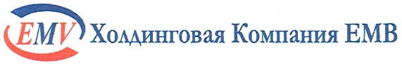 холдинговая компания емв