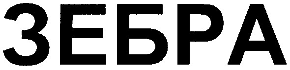 зебра