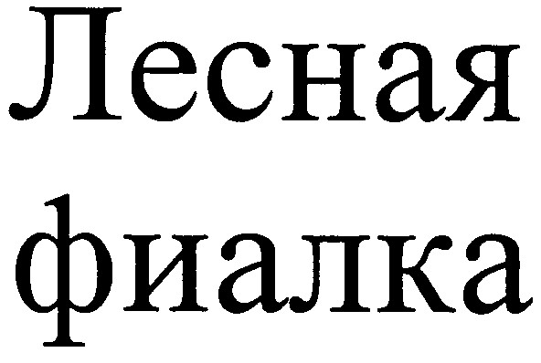лесная фиалка