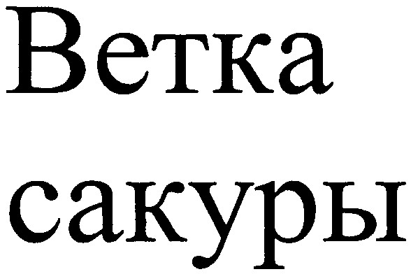 ветка сакуры