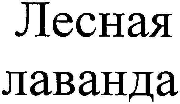 лесная лаванда