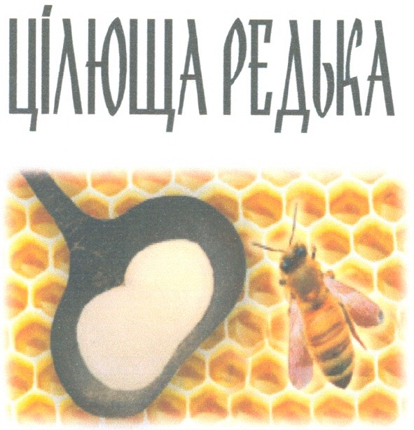 цілюща редька