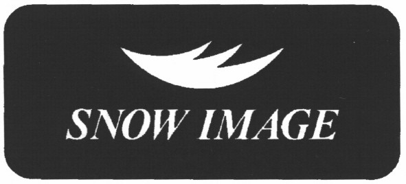 snow image