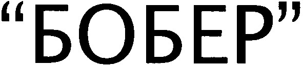 бобер