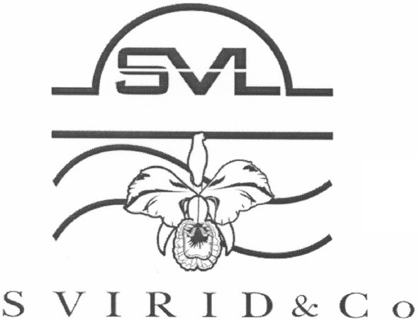 svirid&co