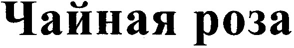 чайная роза