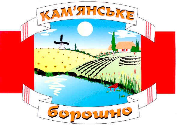 кам`янське