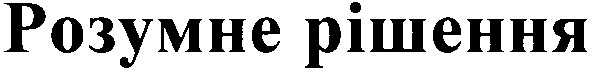 розумне рішення