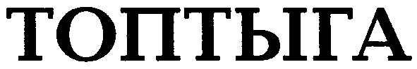 топтыга