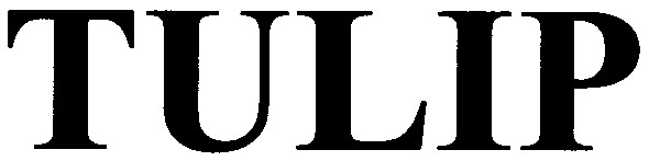 tulip