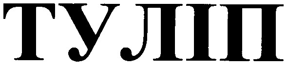 туліп
