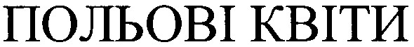 польові квіти