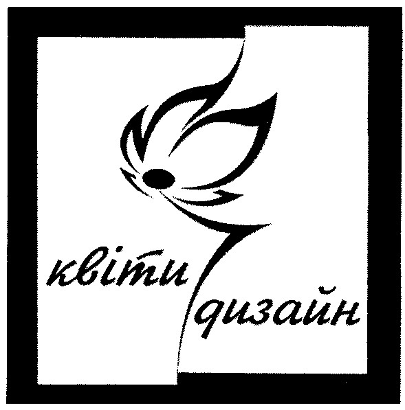 квіти дизайн