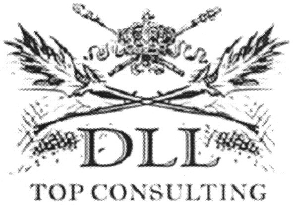 top consulting