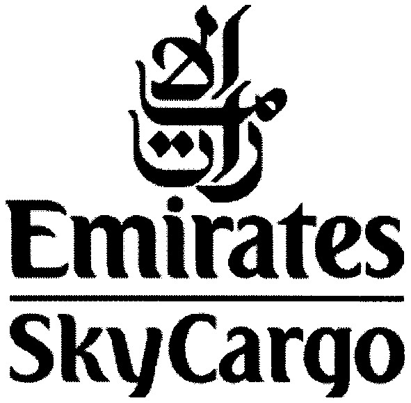 sky cargo