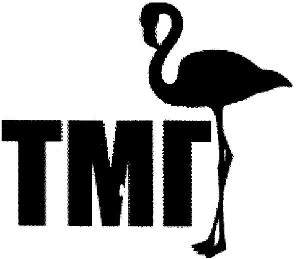 тмг