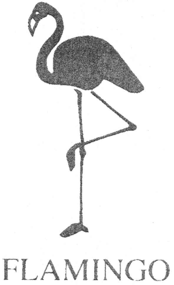 flamingo