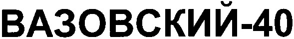вазовский 40