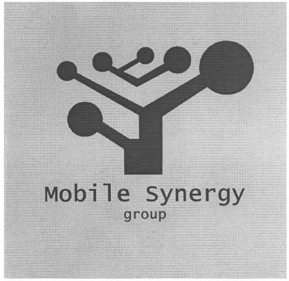 mobile synergy