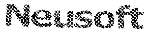 neusoft