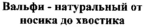 вальфи - натуральный от носика до хвостика