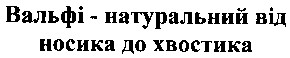 вальфі - натуральний від носика до хвостика