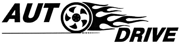 auto drive
