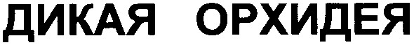 дикая орхидея