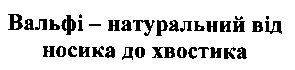 вальфі натуральний від носика до хвостика