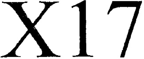 х 17
