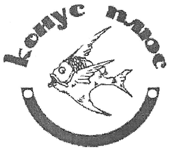 конус плюс