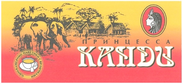 принцесса канди