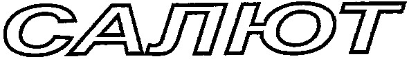 салют