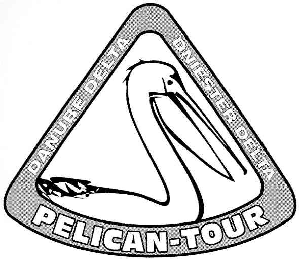 pelican - tour