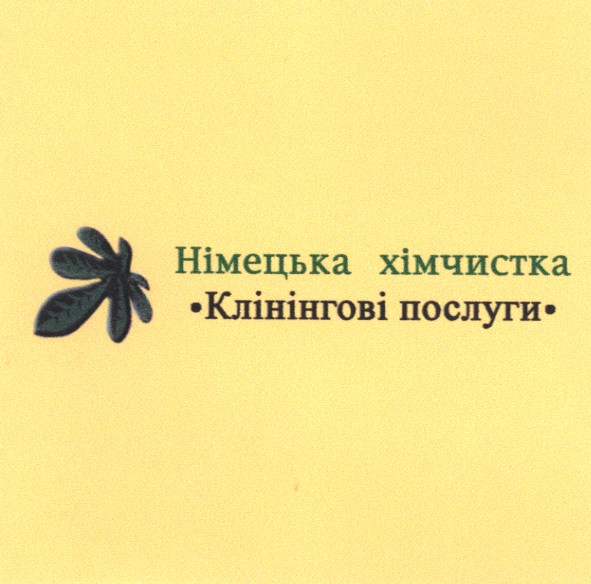німецька хімчистка