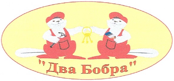 два бобра
