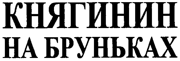 княгинин на бруньках