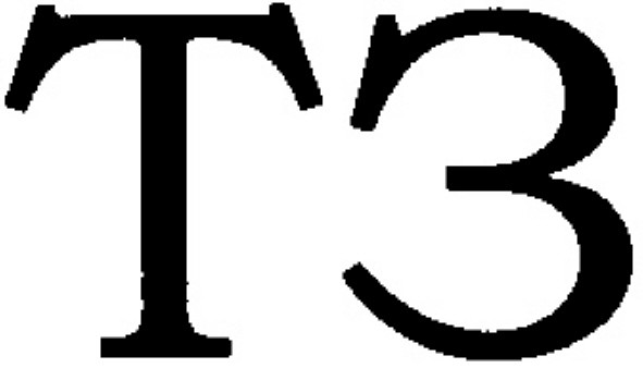 тз