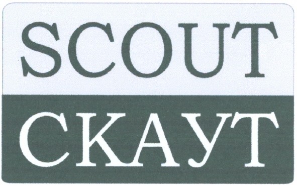 scout