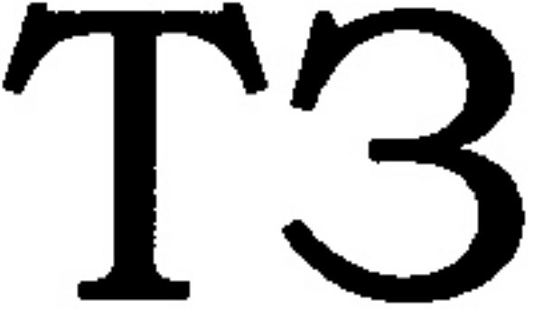 тз