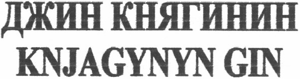 джин княгинин