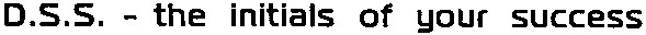 d.s.s. - the initials of your success