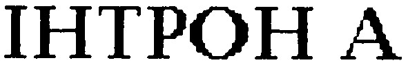 інтрон а