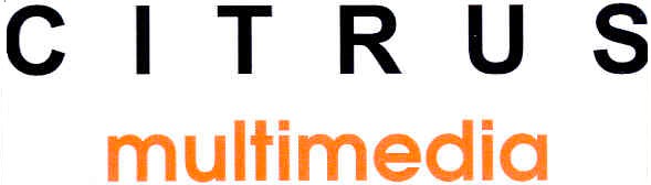 multimedia