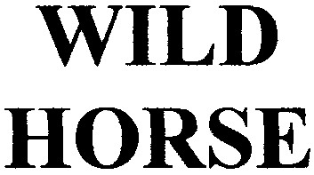 wild horse