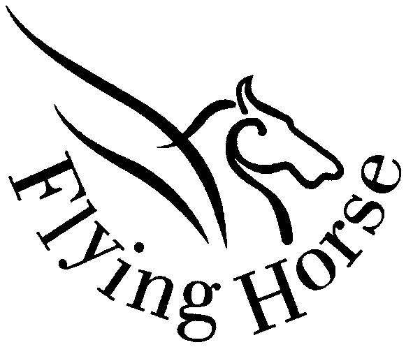 flying horse