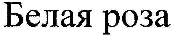 белая роза