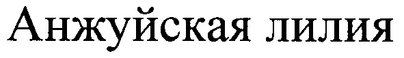 анжуйская лилия