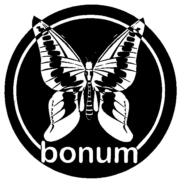 bonum