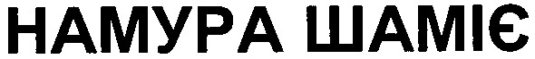 намура шаміє